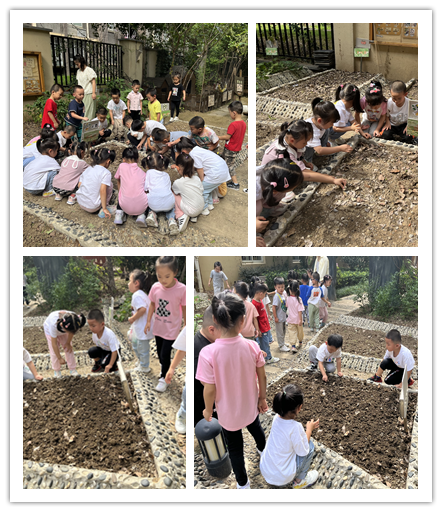 未命名 - 副本.png